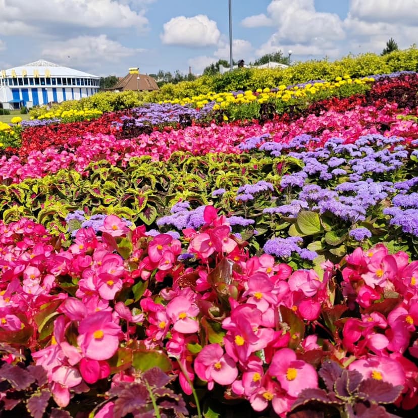 Фото проекта 10