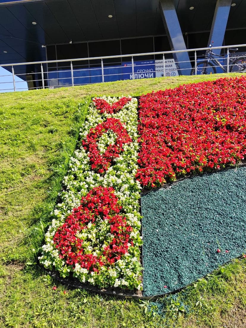 Фото проекта 12