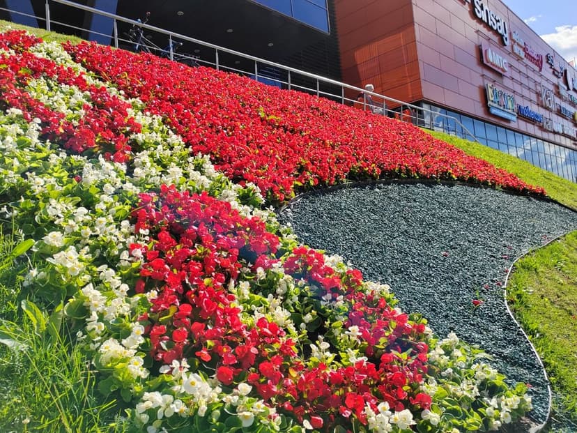 Фото проекта 13