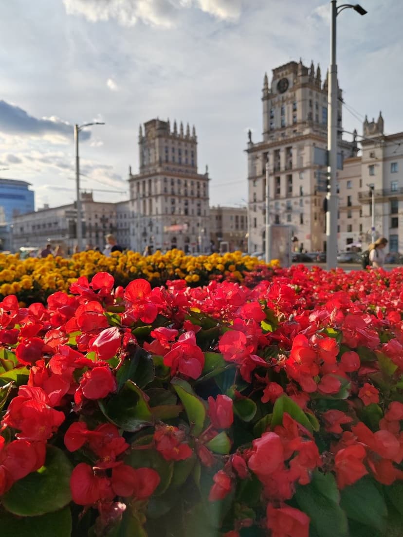 Фото проекта 15