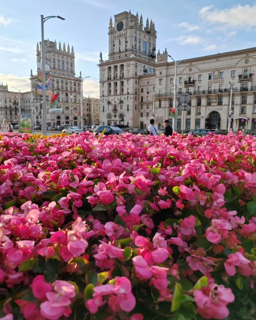 Фото проекта 16