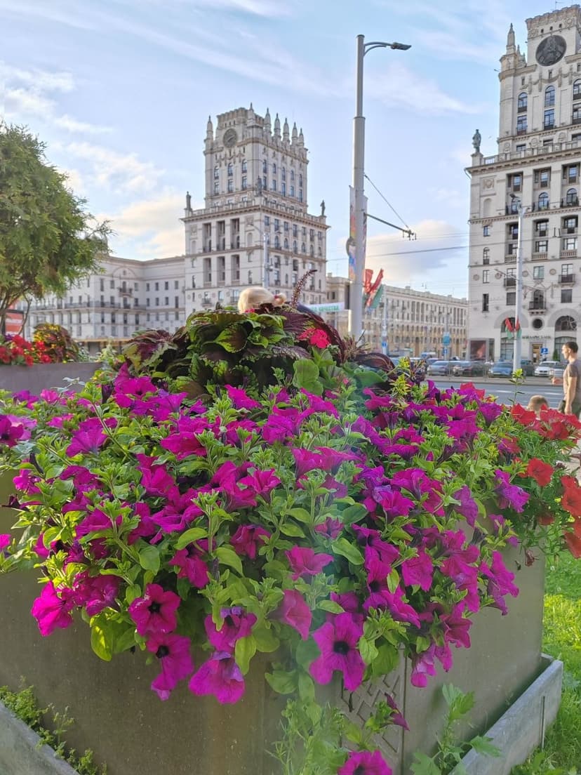 Фото проекта 18