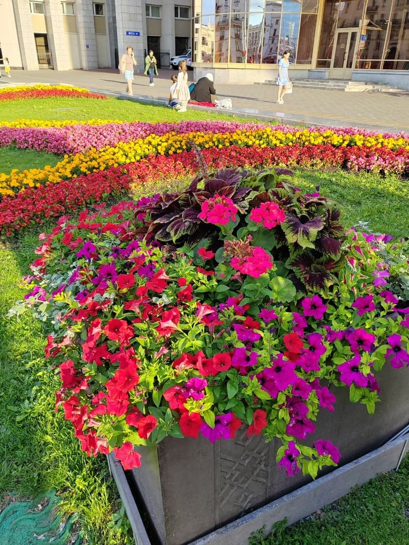 Фото проекта 19