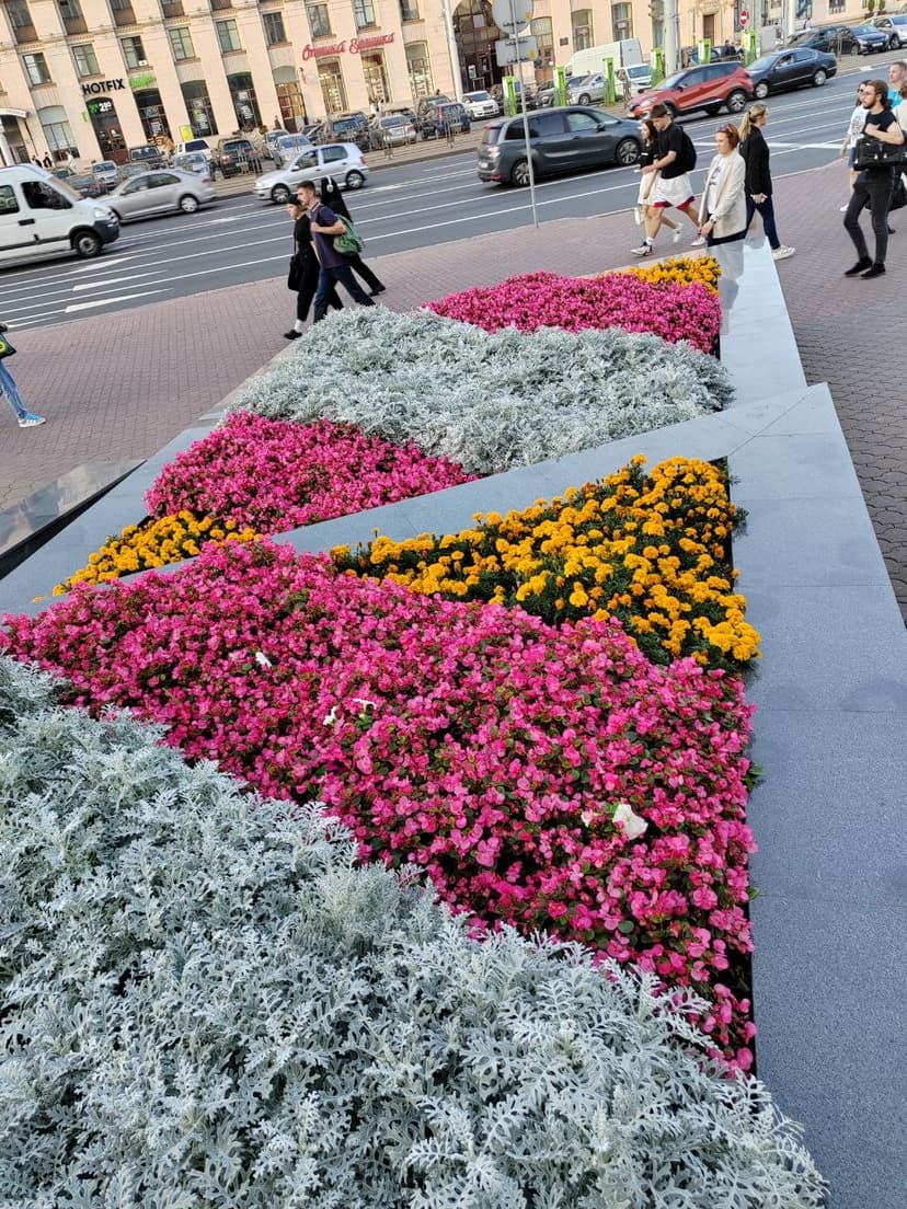 Фото проекта 21