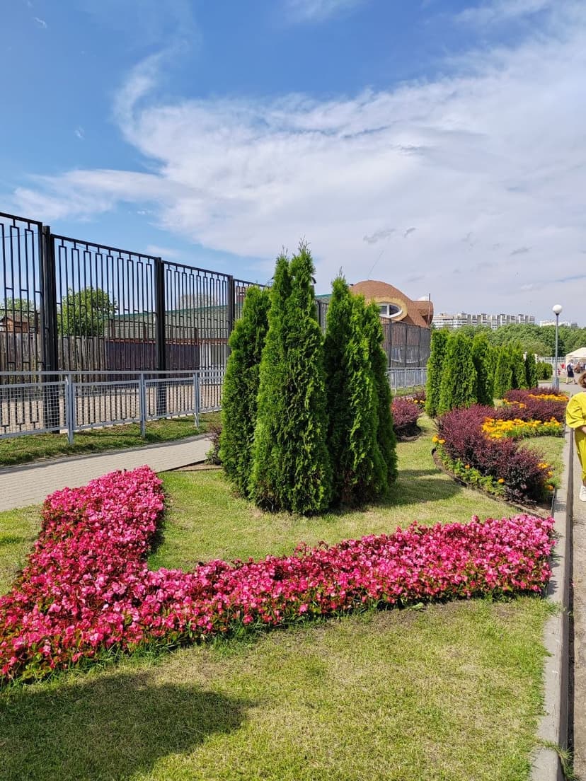 Фото проекта 23