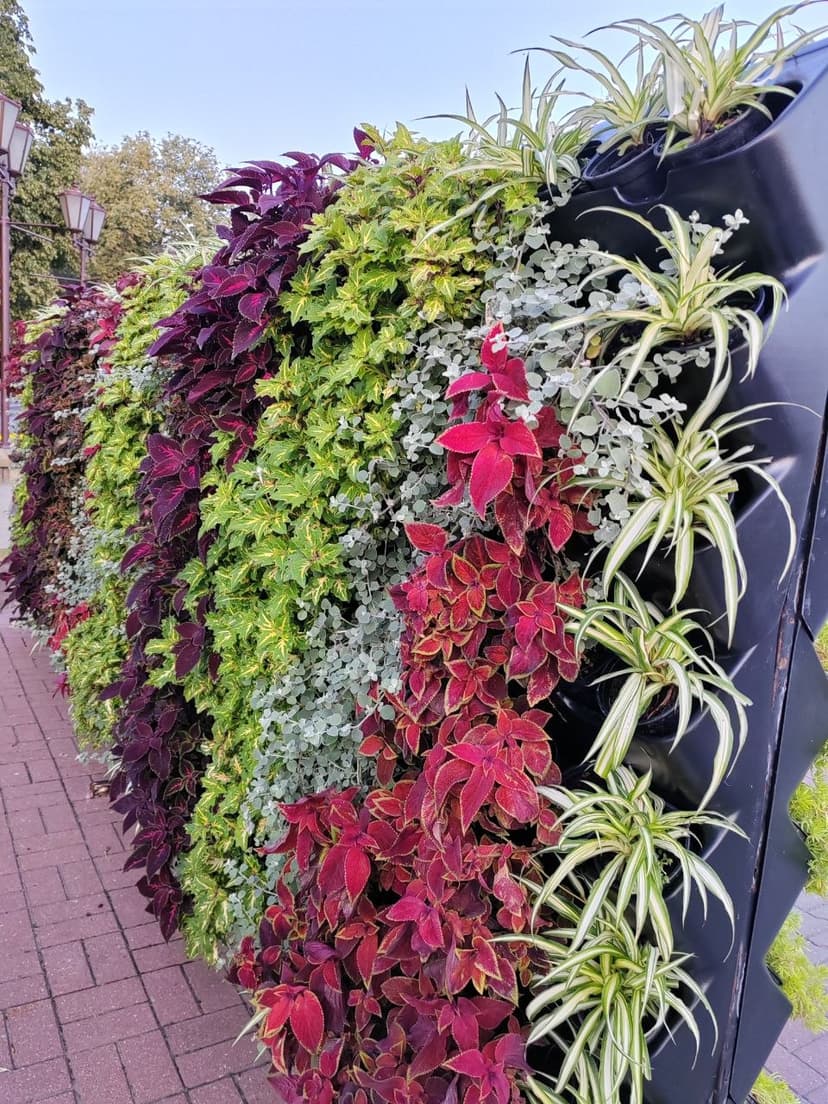 Фото проекта 24