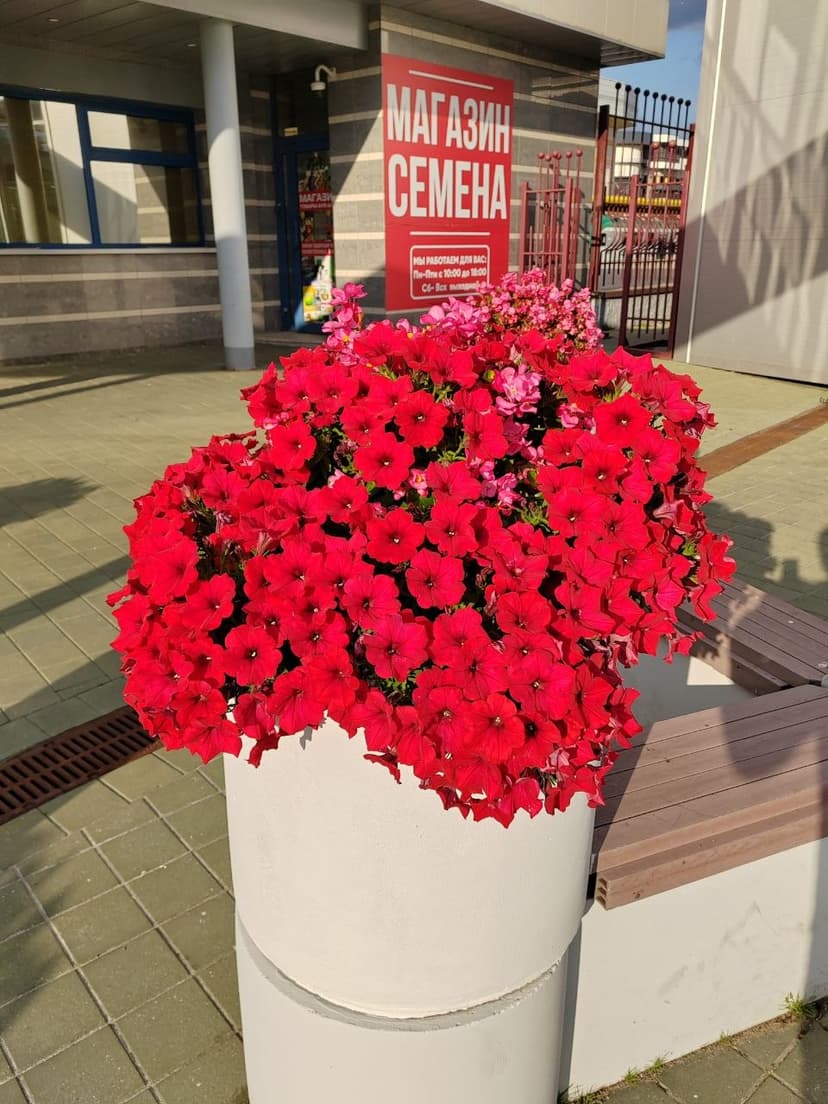 Фото проекта 25