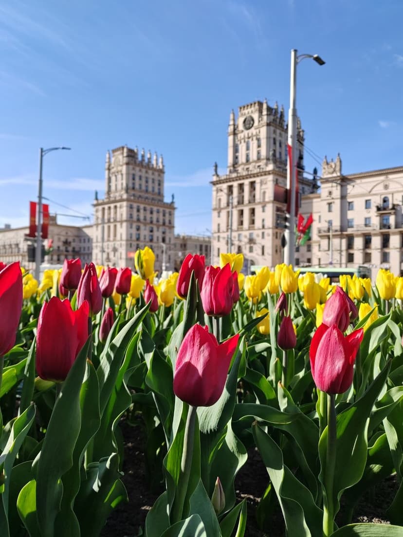 Фото проекта 26