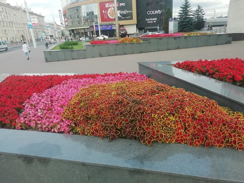 Фото проекта 28