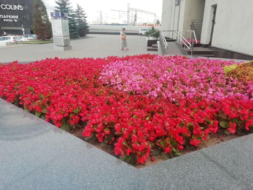 Фото проекта 29