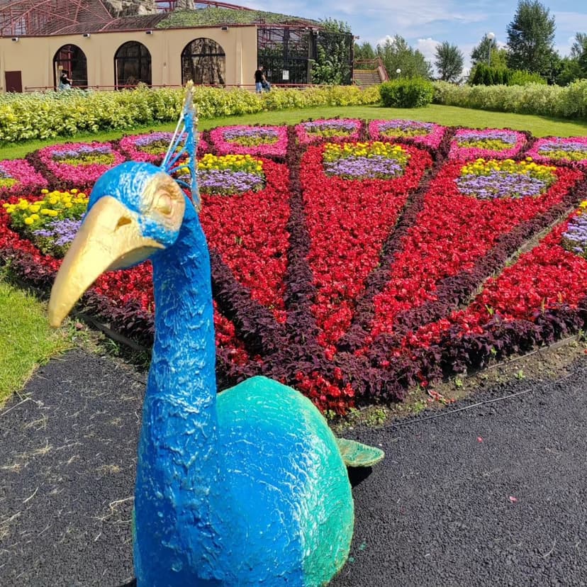 Фото проекта 3