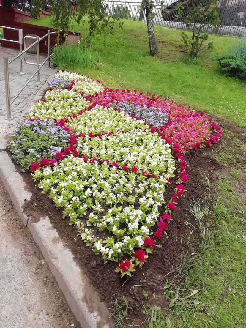 Фото проекта 30