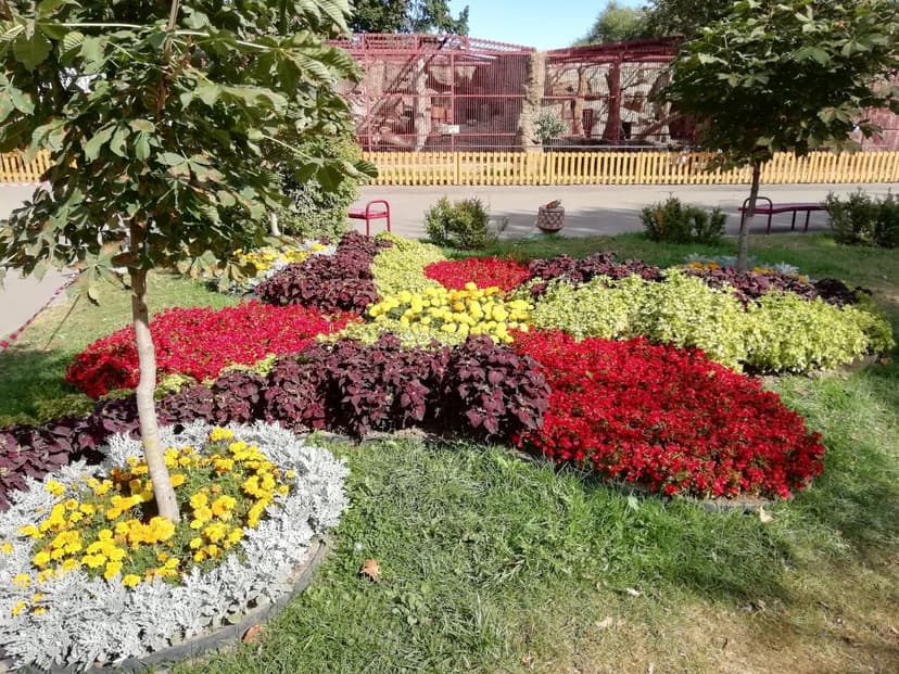 Фото проекта 31