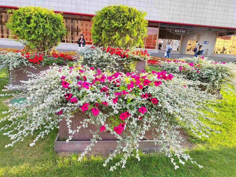 Фото проекта 35