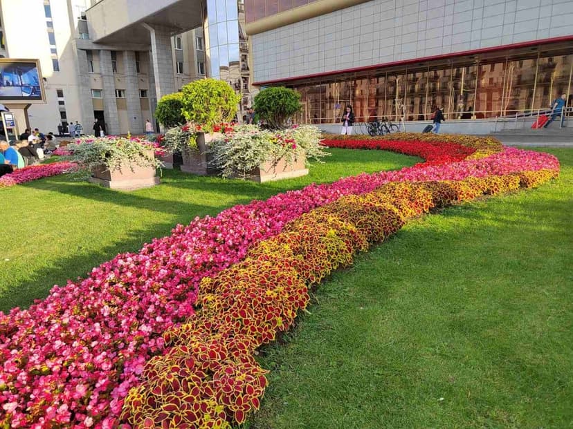 Фото проекта 36