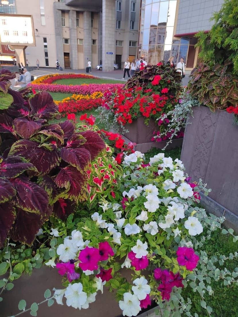 Фото проекта 38