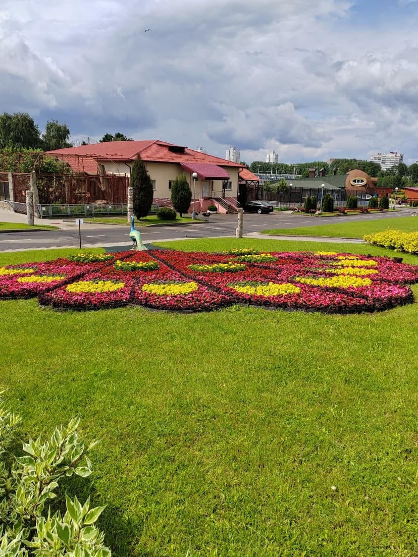 Фото проекта 4