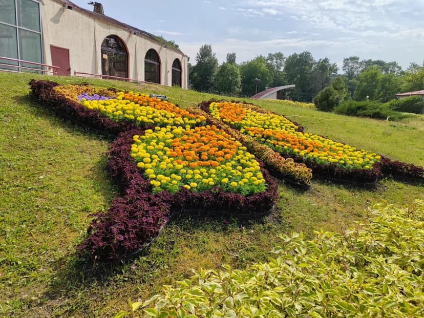 Фото проекта 6