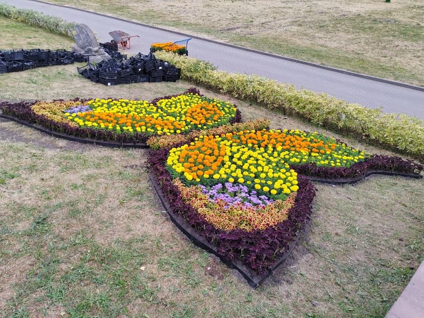 Фото проекта 7