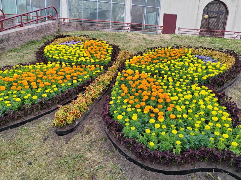 Фото проекта 8